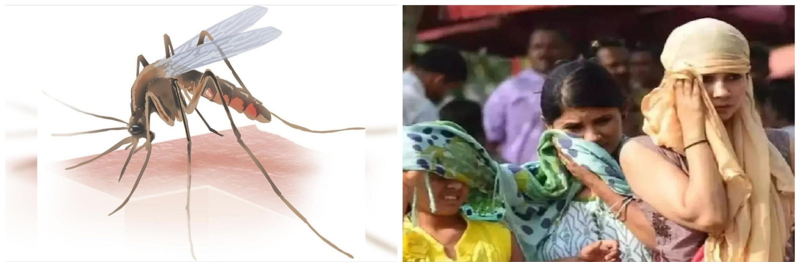 ಮಳೆ, ವಾತಾವರಣದ ವ್ಯತ್ಯಾಸದಿಂದ ರೋಗಗಳ ಹರಡುವಿಕೆ – ಕರಾವಳಿಯ ಜನರಿಗೆ ಆರೋಗ್ಯ ಸಮಸ್ಯೆಗಳ ಭೀತಿ